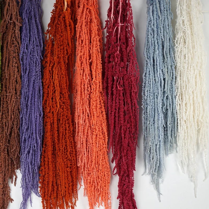 Bluejw High Quality Natural Preserved Amaranth Dried Flowers Hanging Bunch for Home Wedding Decoration & Dried Plants Bouquet - Image 2