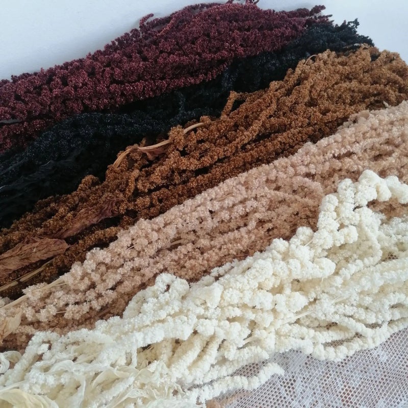 Bluejw High Quality Natural Preserved Amaranth Dried Flowers Hanging Bunch for Home Wedding Decoration & Dried Plants Bouquet - Image 5
