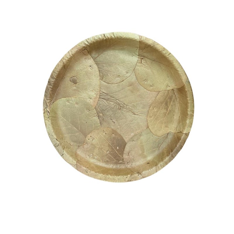 Awadh Natural Original Moduga Leaf Plate 15 Plates Palash Meal Plate Dakh Food Plates Dhakh Patti Food Plate Chool Patti Pattal Natural Leaf Patri 100 Recycle Desi Patri Size 12Inc 30 - Image 4