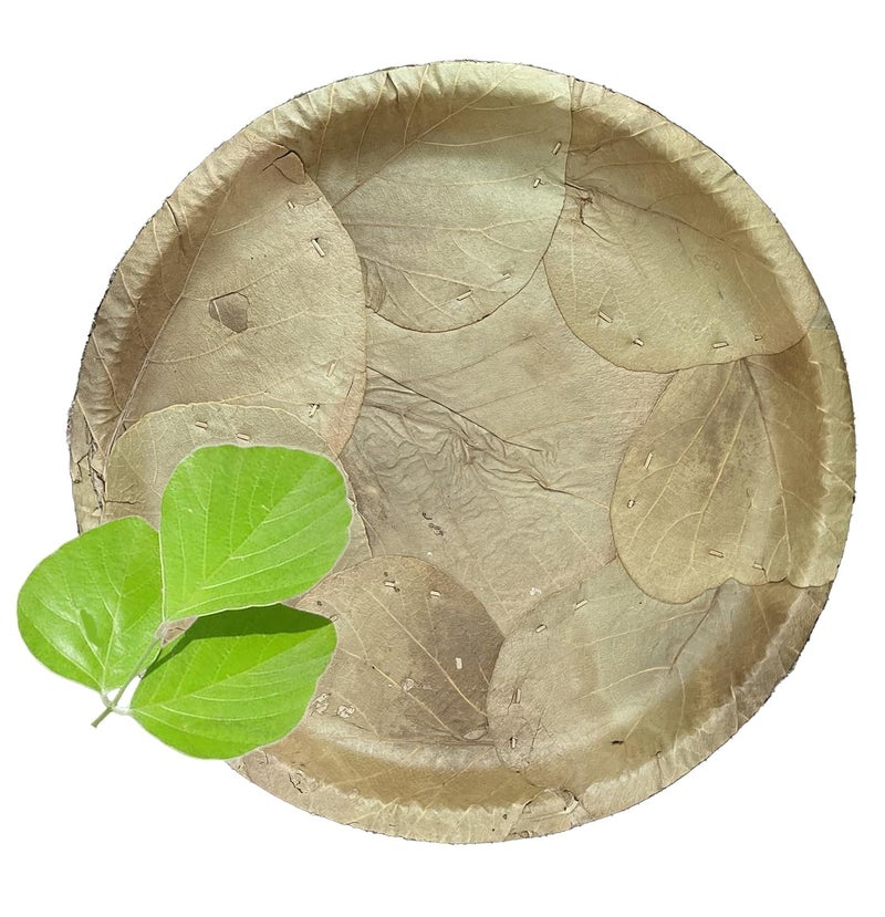 Awadh Natural Original Moduga Leaf Plate 15 Plates Palash Meal Plate Dakh Food Plates Dhakh Patti Food Plate Chool Patti Pattal Natural Leaf Patri 100 Recycle Desi Patri Size 12Inc 30 - Image 1