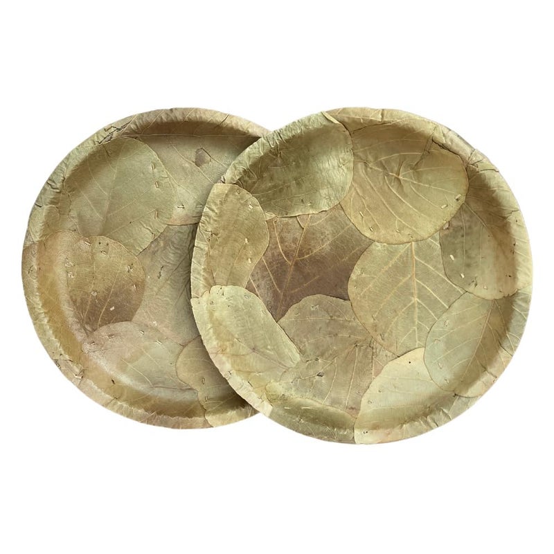 Awadh Natural Original Moduga Leaf Plate 15 Plates Palash Meal Plate Dakh Food Plates Dhakh Patti Food Plate Chool Patti Pattal Natural Leaf Patri 100 Recycle Desi Patri Size 12Inc 30 - Image 5