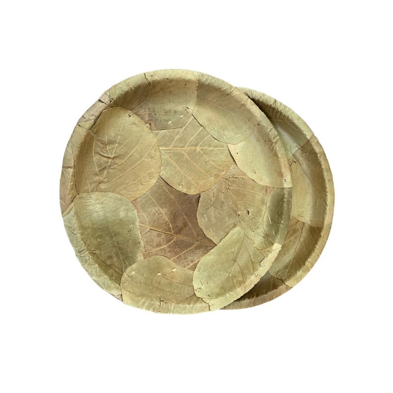 Awadh Natural Original Moduga Leaf Plate 15 Plates Palash Meal Plate Dakh Food Plates Dhakh Patti Food Plate Chool Patti Pattal Natural Leaf Patri 100 Recycle Desi Patri Size 12Inc 30 - Image 3