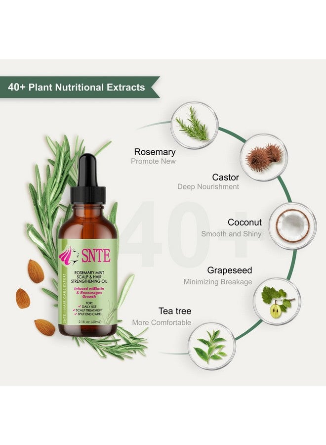 Samnyte Rosemary Oil for Hair Growth - Rosemary Oil for Hair Strengthening and Scalp Care - Rosemary Hair Oil Hair Growth Oil Reducing Hair Loss,Nourishing Dryness and Repairing Split Ends - Image 3