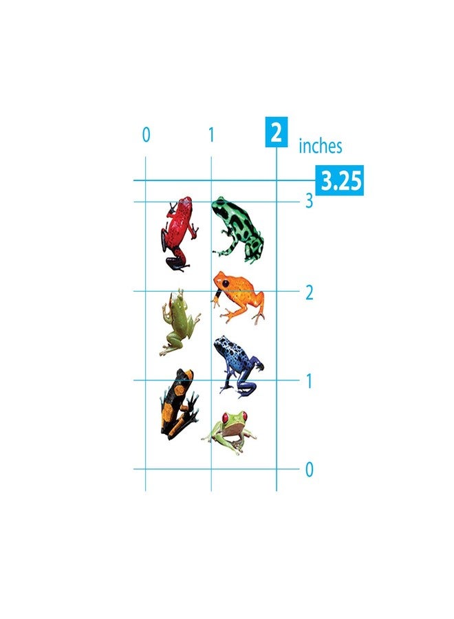 Playhouse Pack of Three Perforated Sticker Half-Sheets for Crafts, Trading & Collecting - Rainforest Frogs 3 Packs - Image 4
