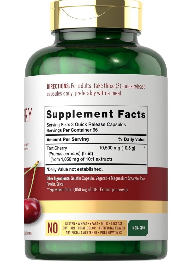 Carlyle Tart Cherry Extract Traditional Herb, 200 Quick Release Capsules - Image 3