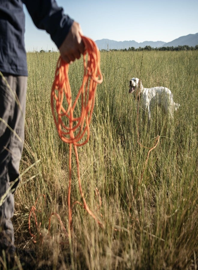 براوننج حبل تدريب الكلاب المضفر من براوننج بطول 30 قدمًا، مقاوم للعوامل الجوية ويطفو على الماء، لون بليز - Image 3