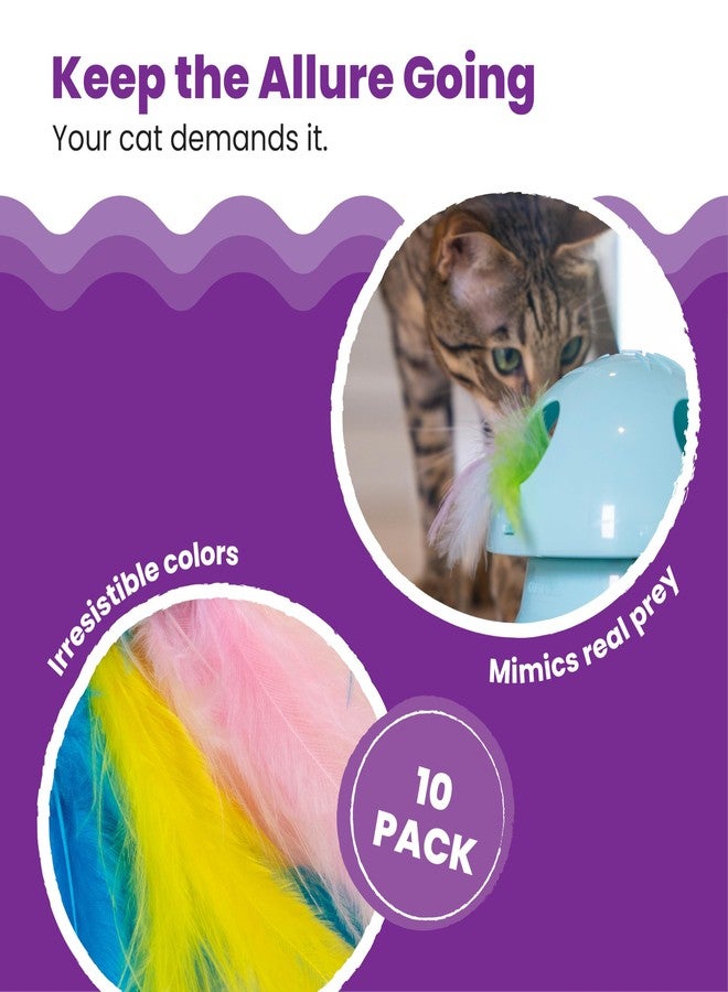 Catstages Dart N' Dash Replacement Feathers for Cat Track Toy - 10 Pack of Colorful Feathers for Interactive Play, Teasing & Mental Stimulation - Image 3