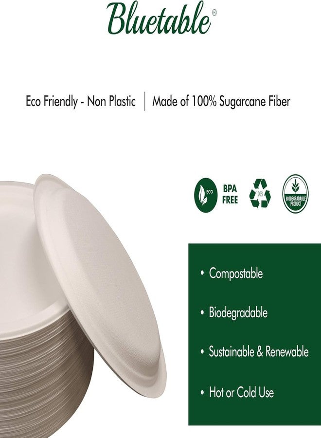 Bluetable Paper Bowls Disposable Bowls Compostable [500 Pack] Bulk 12 oz Biodegradable Bowl - Case Pack Good For Hot Soup Chili - Made from 100% Sugarcane, Eco Friendly Bagasse Bowls Natural [500 Pack/Case] - Image 5