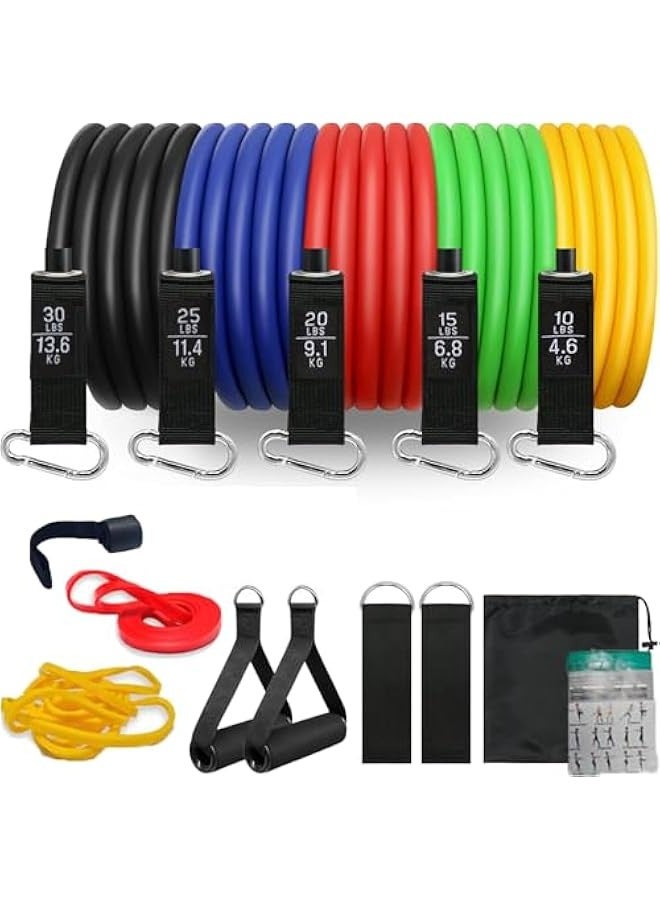 TRASSLE 13 Pack Resistance Bands Set Workout Bands with 2 Elastic Bands, Door Anchor Handles, Ankle Straps, Training Manual, Carrying Bag, Exercise Bands for Home Workouts, Fitness Training, Yoga - Image 1