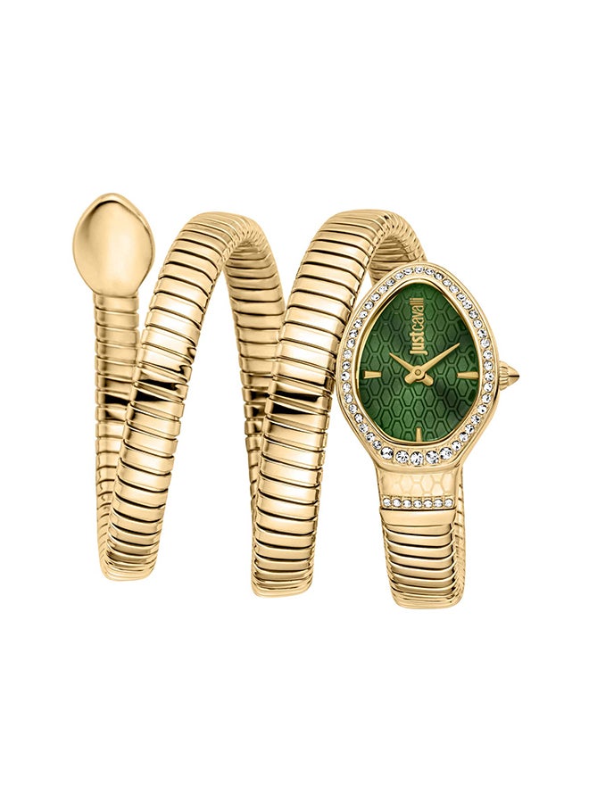 Just Cavalli جست كافالي ليدي سنيك كاريزا JC1L372M0035 - ساعة كوارتز أنثوية من الفولاذ المقاوم للصدأ ذات عقربين - Image 1