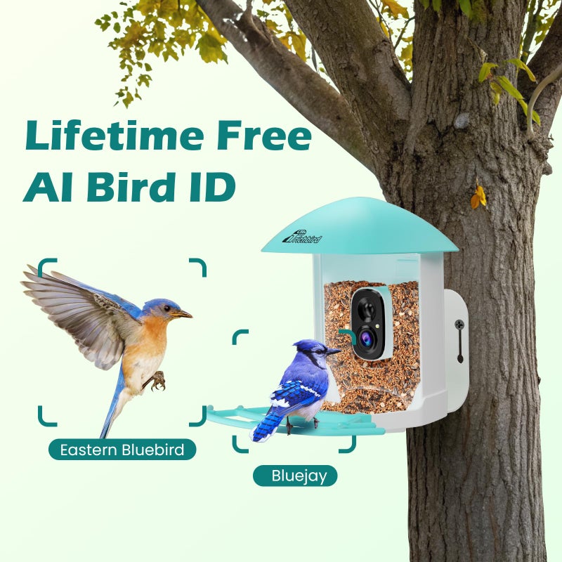 RichBird Bird Feeder with Camera, Smart Bird House with Cam for Outside, 2K HD Auto Record Video, AI Identification & Instant Alerts, Solar Powered, Bird Watching Gifts for Family and Birdlovers - Image 4