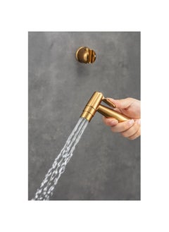 DANUBE HOME Milano Omega Brass Shattaf Snow Gold  - Image 4