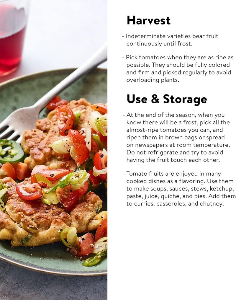 Burpee Sun Gold Hybrid  Sweet Orange Cherry Tomatoes  30 NonGMO Seeds - Image 3