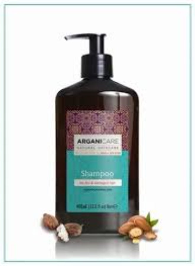 Arganicare Argan & Shea Butter Shampoo for Dry & Damaged Hair 400ml - Image 3