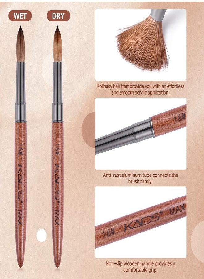 KADS Upgrade Acrylic Nail Brush Pure Kolinsky Hair Acrylic Round Shaped Supermarket Standard (14#) - Image 3