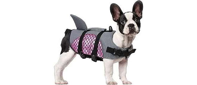 Jolfay Professional Dog Swimming Clothes Pet Dog Life Jacket Small Medium and Large Dog Buoyancy Swimsuit Dog Swimsuit Rescue Clothing (M) - Image 1