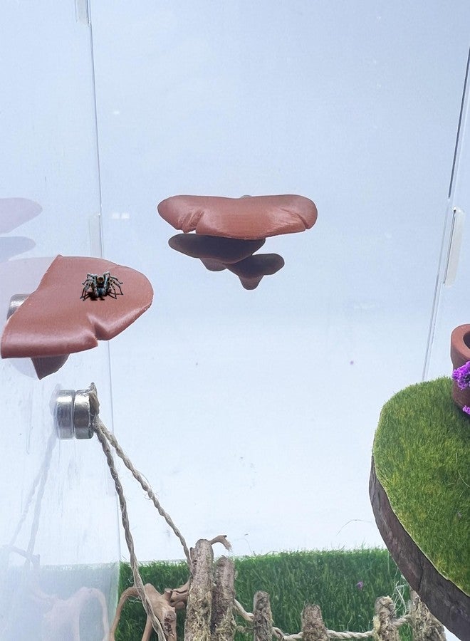 Daerky Jumping Spider Mushroom Shelf, Magnetically Concealed Jumping Spider Habitat,Serves As Enclosure Decorate Accessories for Spider Climbing Feeding and Platforms (Brown) - Image 2