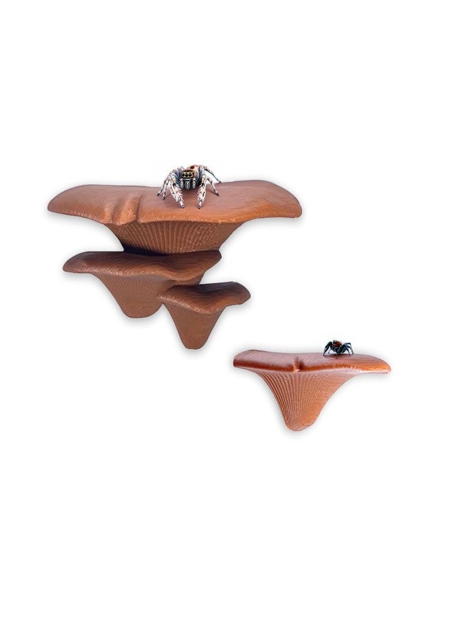 Daerky Jumping Spider Mushroom Shelf, Magnetically Concealed Jumping Spider Habitat,Serves As Enclosure Decorate Accessories for Spider Climbing Feeding and Platforms (Brown) - Image 1