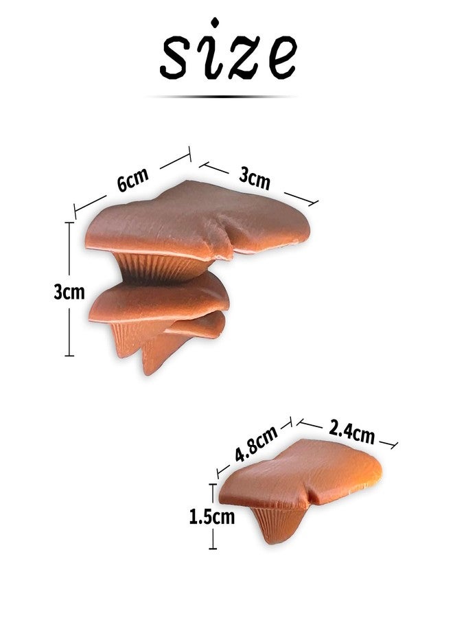 Daerky Jumping Spider Mushroom Shelf, Magnetically Concealed Jumping Spider Habitat,Serves As Enclosure Decorate Accessories for Spider Climbing Feeding and Platforms (Brown) - Image 3