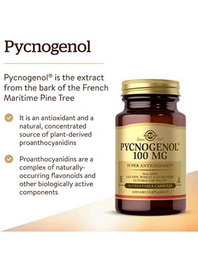 سولجر بيكنوجينول، 100 ملغ، 30 كبسولة نباتية قد يختلف التعبئة - Image 1