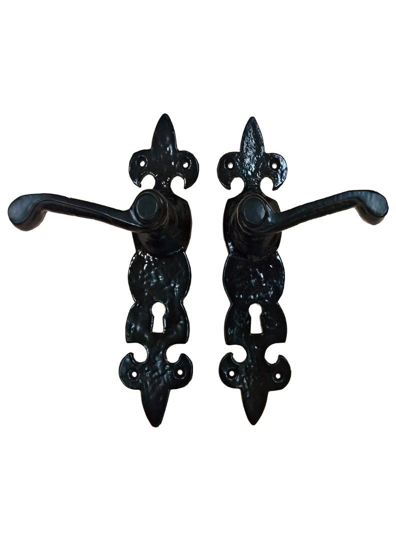 KNP KNP Antique Door Handle - Cast Iron Material | Fleur-De-Lis Design Black