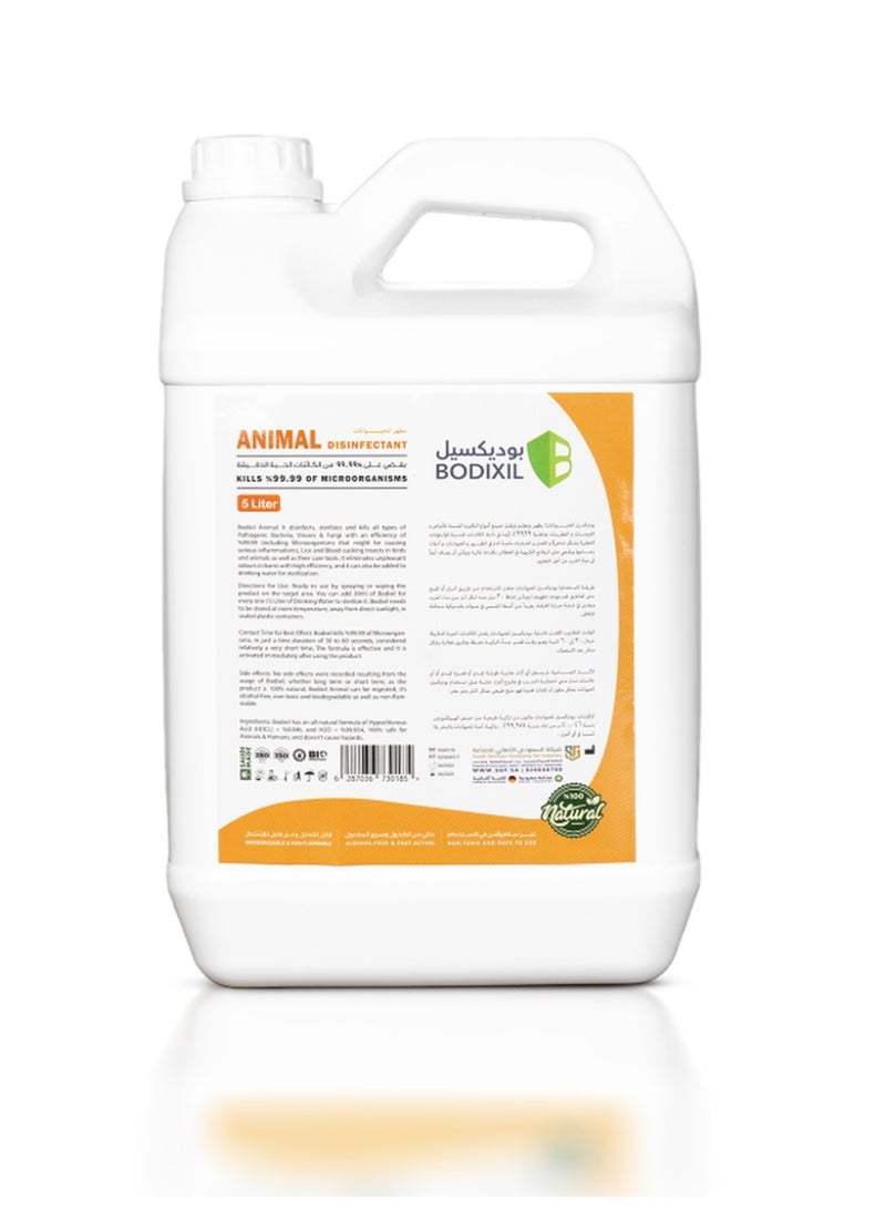 بوديكسيل مطهر ومعقم حيوانات وأقفاص - Image 4