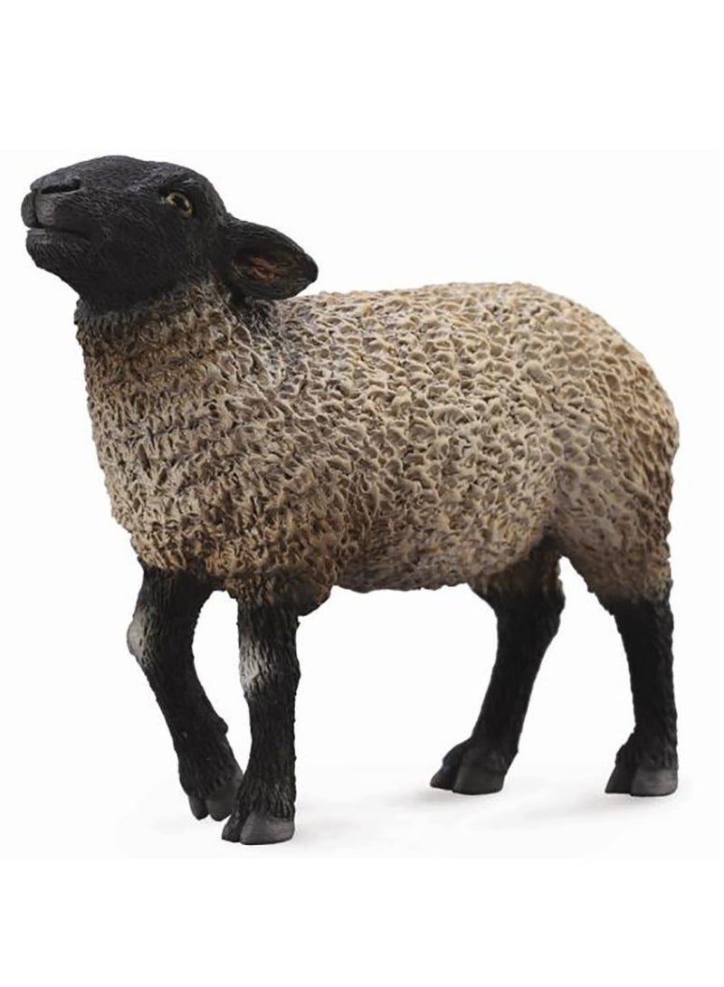 Collecta - Suffolk - 88636