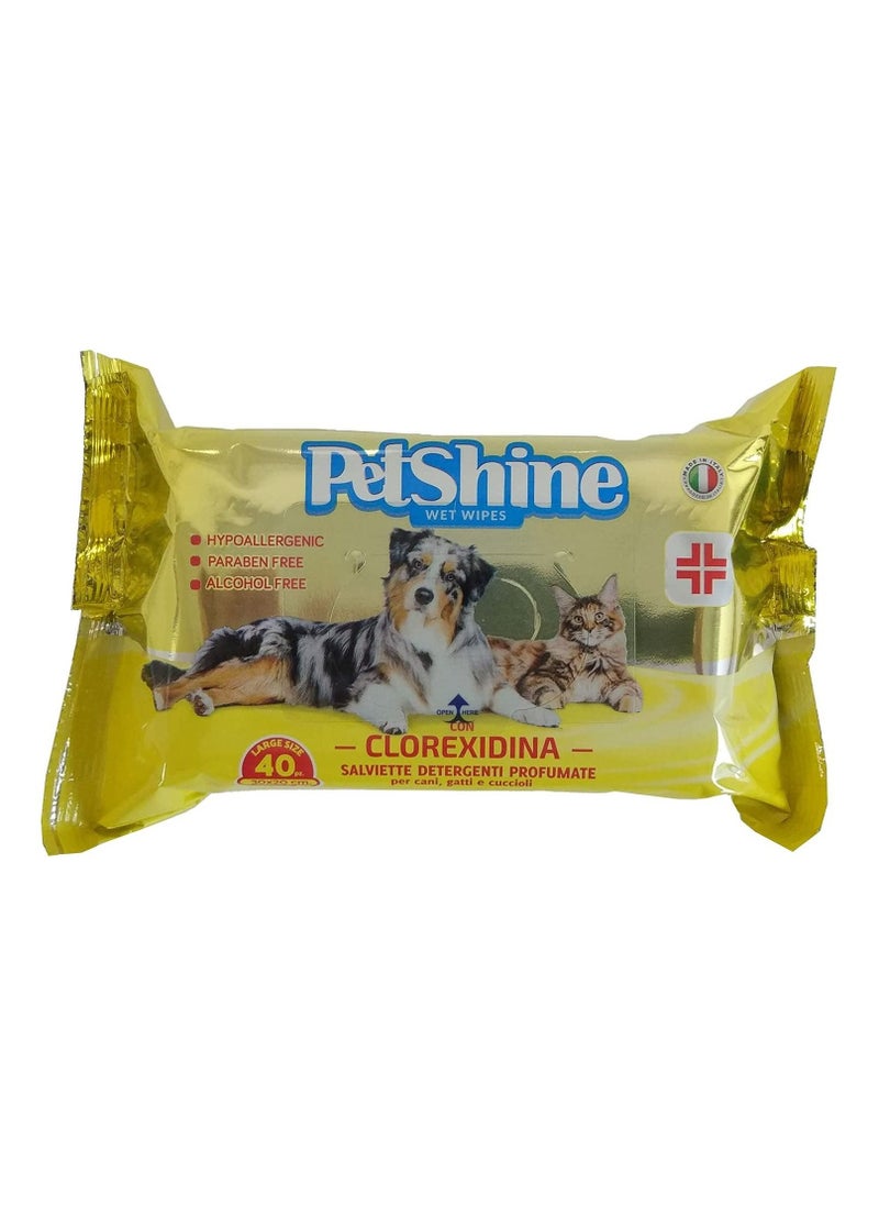 PetShine - Wet Wipes Clorexidine 30x20 cm 40 Count - Image 1