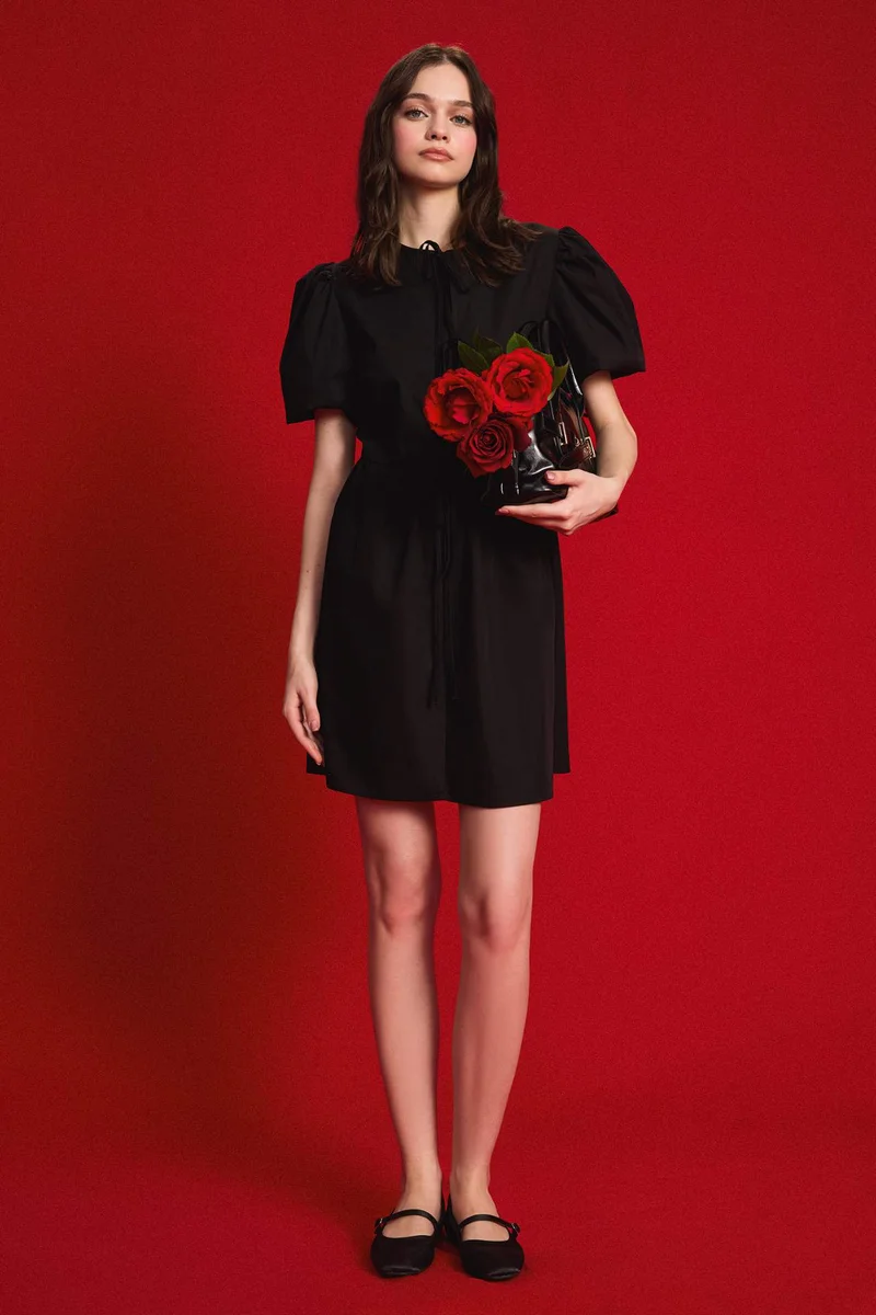 DeFacto Crew Neck Poplin Mini Dress