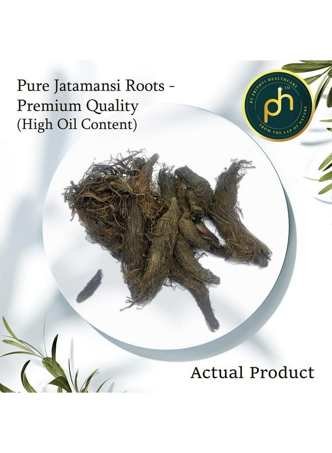 بي اتش جذور الجاتامانسي العضوية لنمو الشعر 50 جم جذور كاملة (مليئة بالزيت بدرجة نظيفة) بال تشاد | ناردوستاتشيس جاتامانسي | سبيكنارد | جذر المسك | لنمو الشعر والعناية به - Image 2
