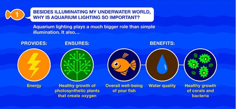 MarineLand ضوء حوض السمك LED مارينلاند 32996 مع تأثير اللمعان الطبيعي للأحواض حتى 30 بوصة - Image 5