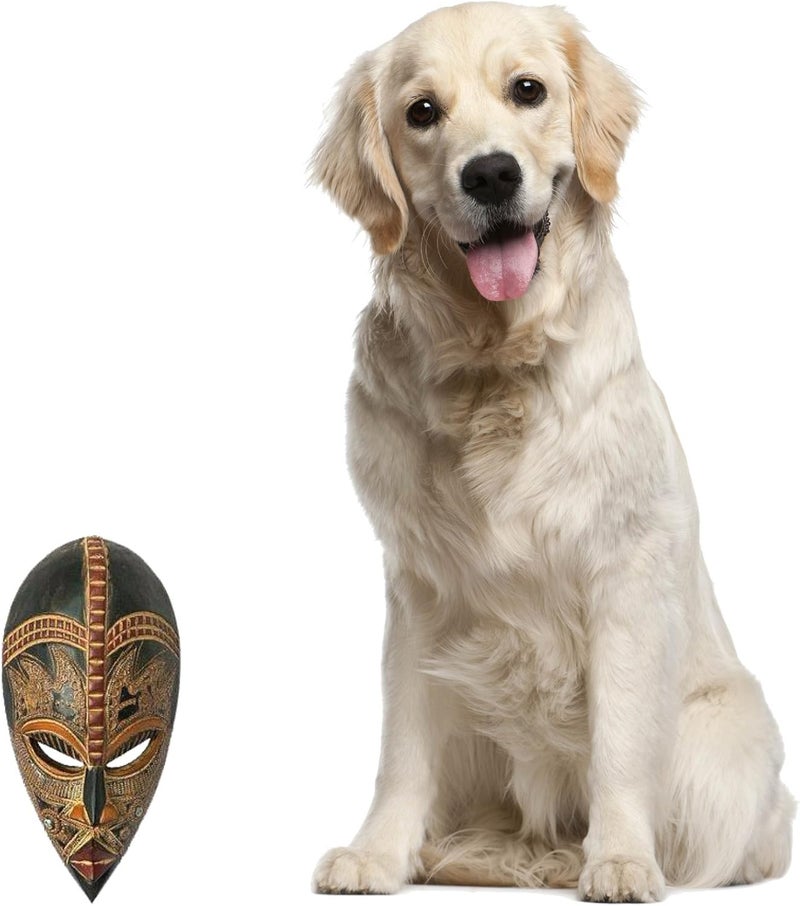 NOVICA Light Brown Handcrafted Nigerian Wood Wall Mask with Aluminum Accents Kings Companion - Image 3