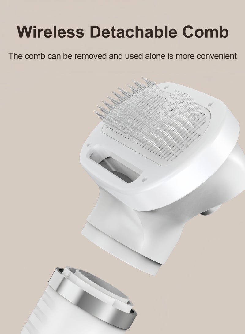 300W pet quick-drying hair dryer with replaceable spray hair comb and two air outlets, can massage and style your pet, white - Image 4