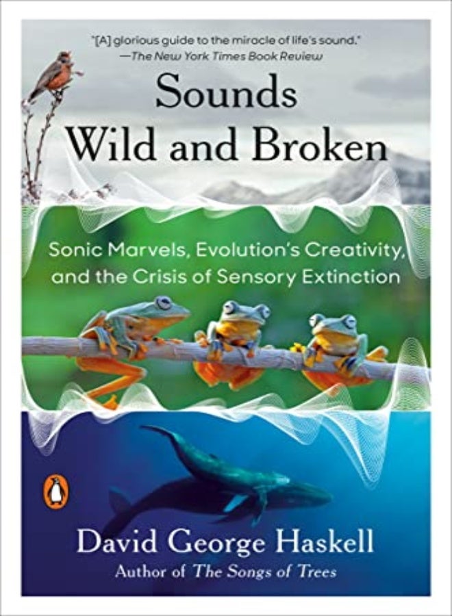 SOUNDS WILD & BROKEN 