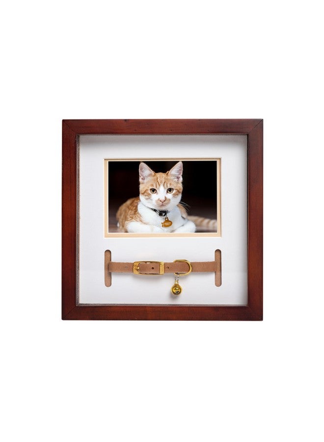 Pearhead Pet Collar Keepsake Frame - Dual Display Memorial Keepsake for Cat & Dog Collars, Wall Mount or Tabletop, Ideal Gift and Home Decor for Pet Owners, 3" x 4.5" Photo Insert, Espresso - Image 1