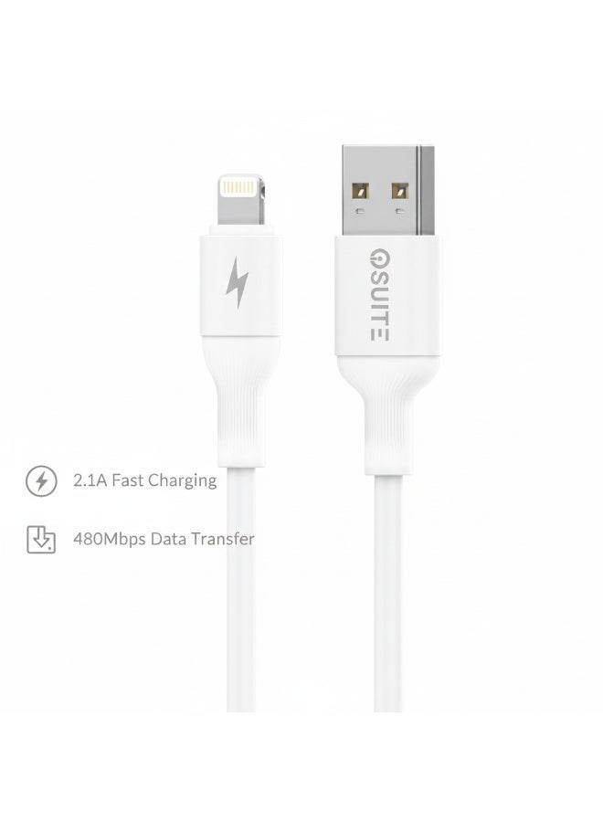ايوسويت كابل iOsuite من USB-A إلى Lightning بطول 1 متر، معتمد Apple MFi، شحن سريع 2.1 أمبير ونقل بيانات 480Mbps، متوافق مع iPhone 14/13/12/11/XS/XR/X/8/7/6 وآيباد وآيبود – أبيض (DC11) - Image 2