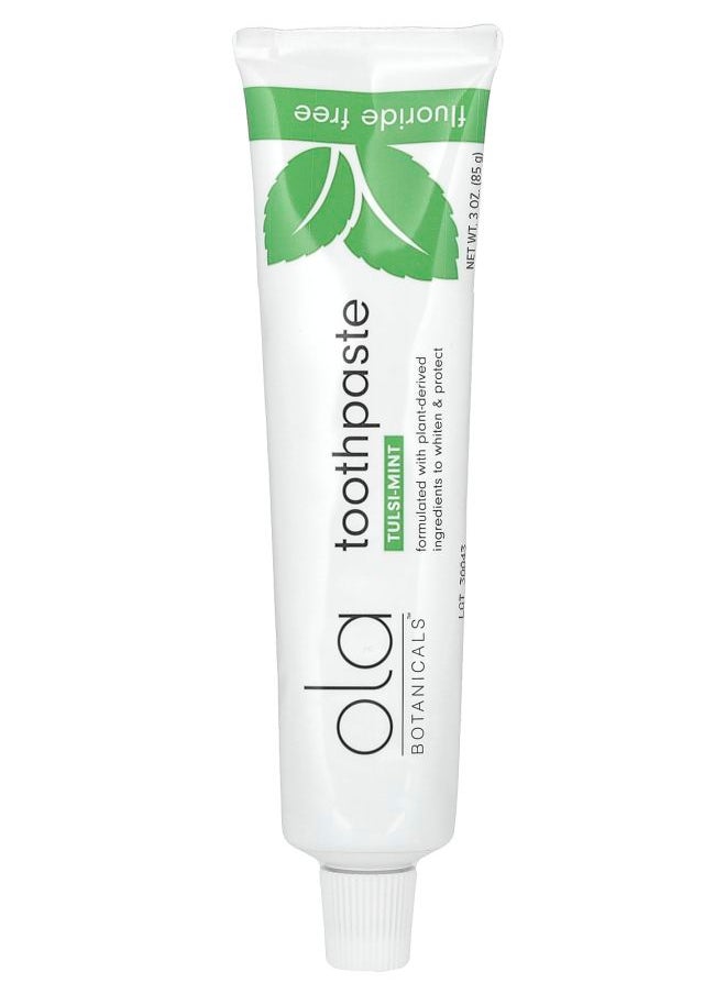 Dr. Mercola Ola Botanicals Toothpaste Fluoride Free Tulsi Mint 3 oz (85 g) 