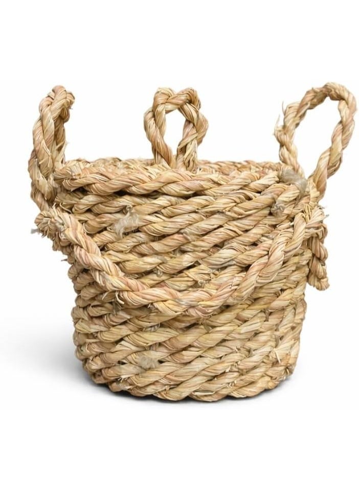 سلة خوص بغطاء أنيق - Image 1