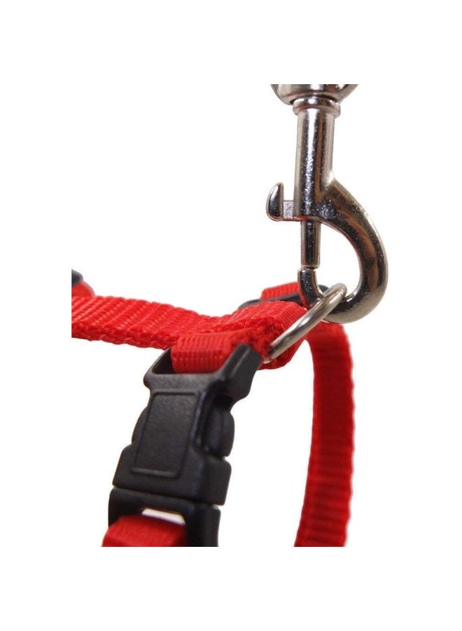 Reflective Adjustable Cat Collar and Harness with Leash (Red) - Image 5