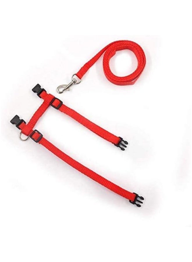 Reflective Adjustable Cat Collar and Harness with Leash (Red) - Image 4