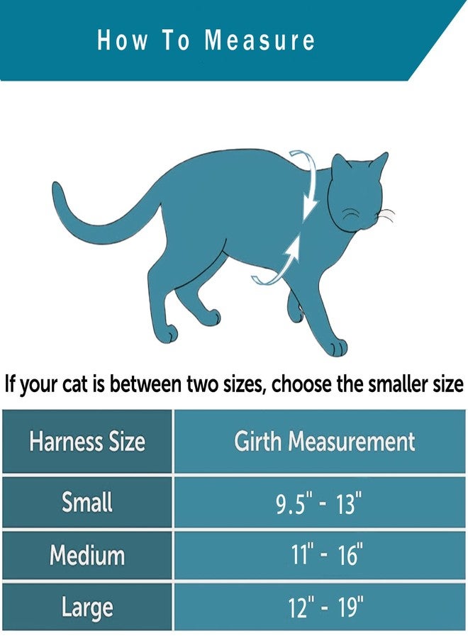 Ddzmz Cat Harness and Leash, Cat Leash and Harness Set Ddzmz Soft Mesh Breathable Adjustable Cat Vest Pets Harnesses for Walking Escape Proof Grey Color S Size for Pets Cats Kitten Puppy Rabbit Ferret(1Pack - Image 4