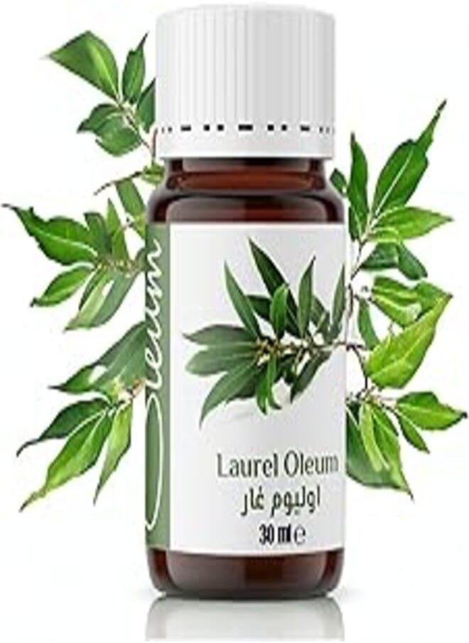 Oleum Oleum Laurel Oil 100% Pure- Steam Distilled from Bay Leaves - Rich in Antioxidants and Anti-Inflammatory Compounds - 30 ml 