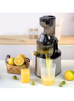Slow Masticating Juicer, Slow juicer, Fruit/Vegetable Juicer, Cold Press Juicer with High Output