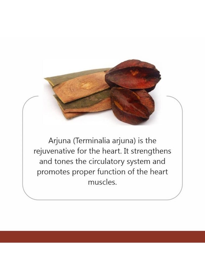 Aradhya Priyal Arjun Ki Chaal - Fresh Arjuna Tree Bark - Raw | Lowers Bad Cholesterol (1000) - Image 3