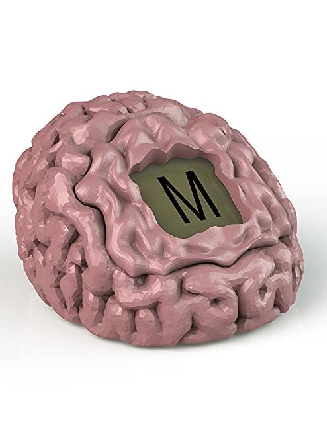 PlayMonster Brain Fart Party Game Think Fast Fun Game Night Ages 14+ - Image 2