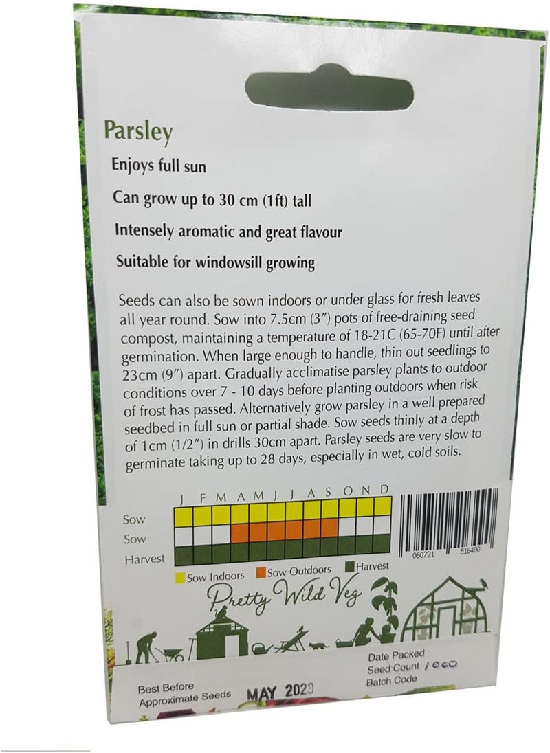 GGOOT Parsley Seeds Vegetable Fruit Seeds Veg Seeds Cabbage Carrot Sweetcorn Tomato Strawberry (Parsley)  - Image 2