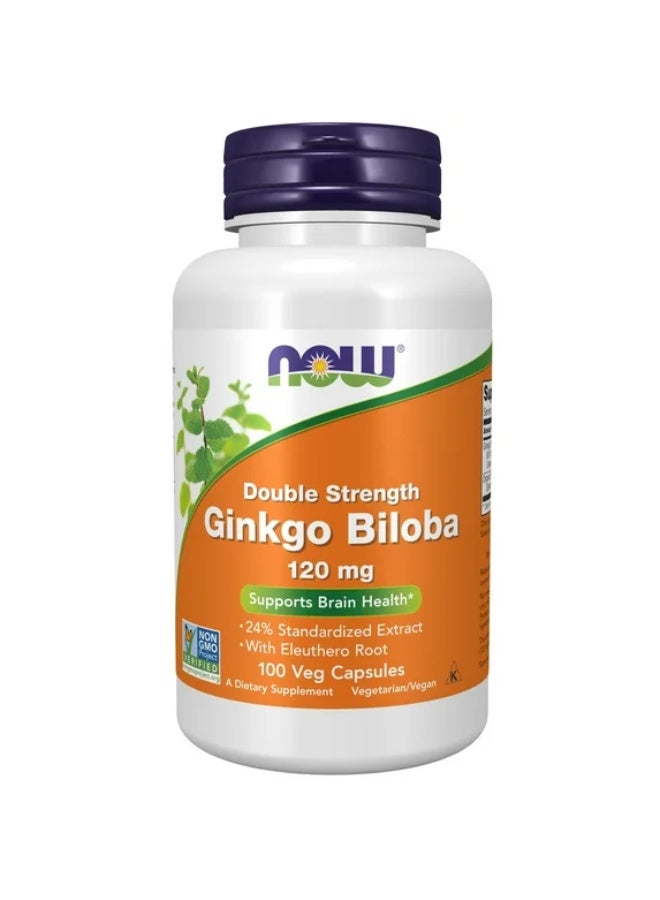 Now Ginkgo Biloba Double Strength 120 mg 100 Capsules - Image 1
