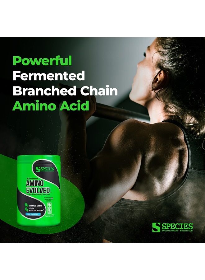 Species Nutrition Amino Evolved EAA & BCAA Powder, Fermented Amino Acids, Branched Chain Amino Acid Muscle Recovery & Endurance, Pre & Post Workout Supplement (Blue Raspberry, 30 Servings) - Image 2