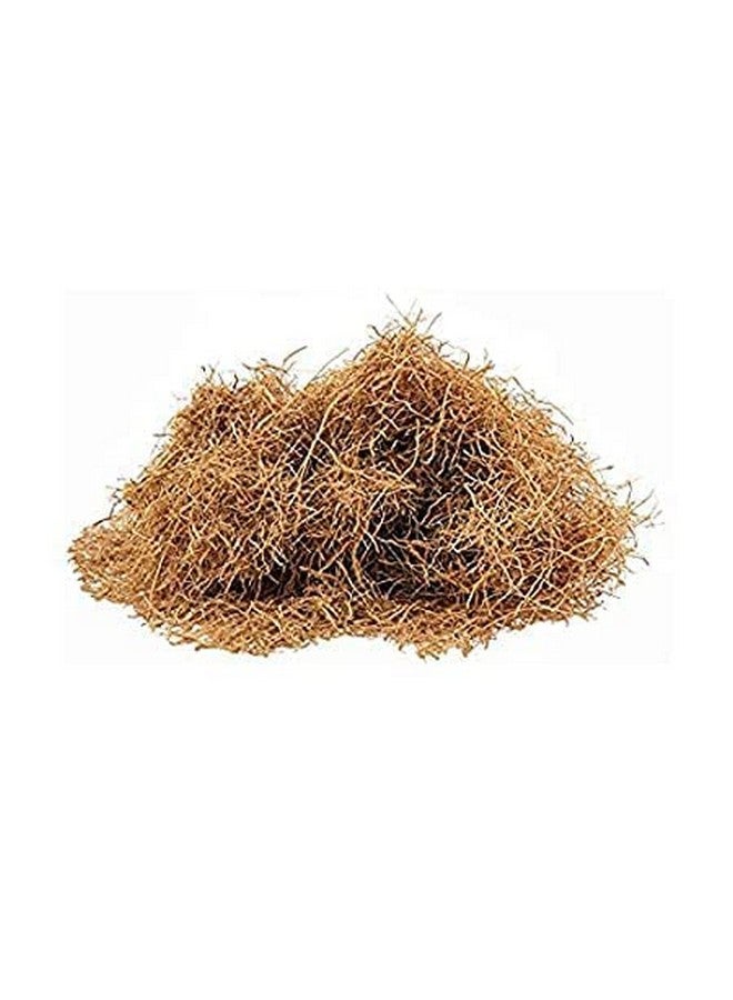 Easygrow Khus Root - Vetiveria Zizanioides - (100 GM) - Image 2