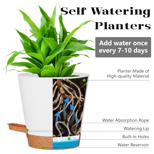 SE SUN-E 12+12Inch 2Pack Large Flower Pots for Indoor/Outdoor Plants,Self Watering Planters with Reservoir and Drainage Hole White Plastic Planting Pots Modern Home Decor Gift Idea - Image 3